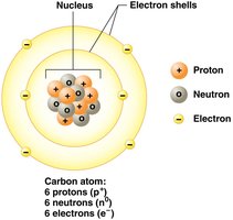 Structure of a carbon atom showing nucleus and electron shells