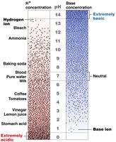 The pH scale