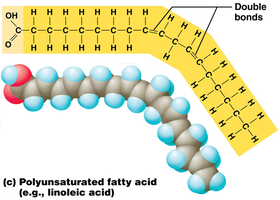 Polyunsaturated fatty acid structure