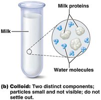 Colloid: milk proteins in water