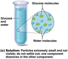 Solution: glucose dissolved in water