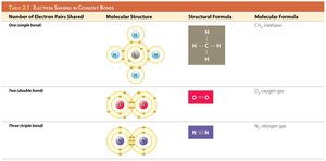 Table of electron sharing in covalent bonds