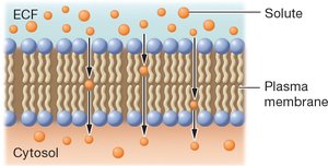 Table of plasma membrane transport mechanisms