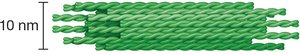 Structure of intermediate filaments
