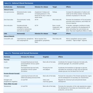 Adrenal gland, pancreas, and gonad hormones table