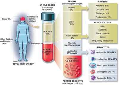 Diagram of blood composition and components