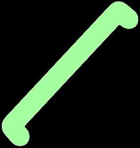 Muscle fiber cross-section showing bundles of myofibrils