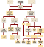 Diabetes mellitus effects flowchart