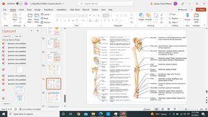 Movements at synovial joints