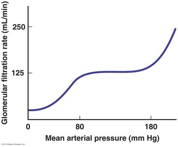 Graph showing relationship between mean arterial pressure and GFR