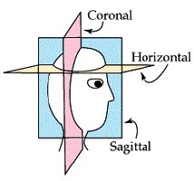 Body planes diagram