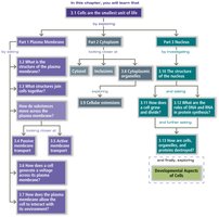 Chapter overview flowchart