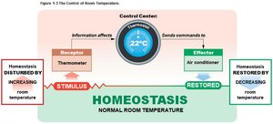 Homeostasis: control of room temperature