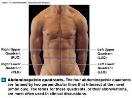 Abdominopelvic quadrants