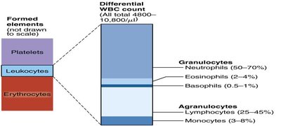 Differential WBC count and classification