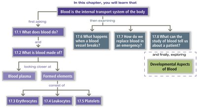 Chapter 17 blood learning goals flowchart