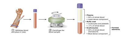 Blood sample centrifugation and components