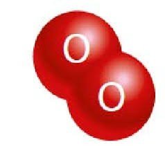 Water molecule (H2O)