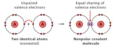 Polar covalent bond in water