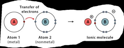 Hydrogen bonds between water molecules