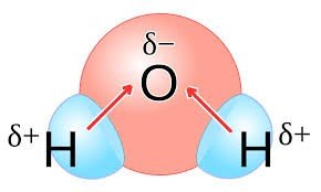 Synthesis reaction diagram