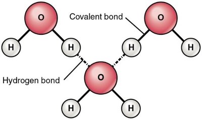 Decomposition reaction diagram