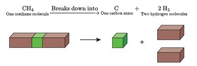 Redox reaction in cellular respiration