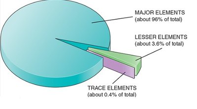 Pie chart of major, lesser, and trace elements in the body