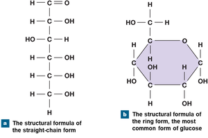 Structures of glucose