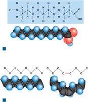 Saturated and unsaturated fatty acids