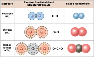 Covalent bonds in common molecules