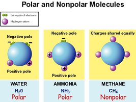Polar and nonpolar molecules