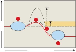 Effect of enzymes on activation energy