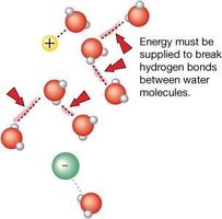 Water's high heat capacity