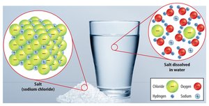 Water as a solvent