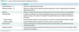 Table summarizing types of electrical potentials in biological systems.