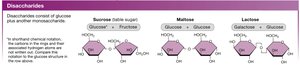 Structures of common disaccharides