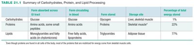 Summary table of carbohydrate, protein, and lipid processing