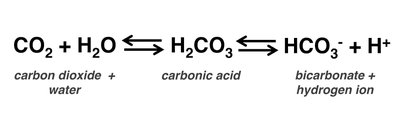 Bicarbonate buffering equation