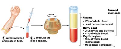 Blood centrifugation and components