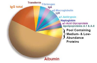 Pie chart of plasma protein composition