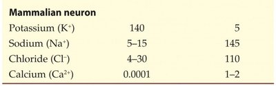 Table of ion concentrations