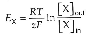 Nernst equation