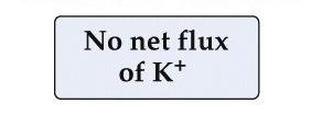 Battery controls membrane potential