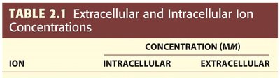 Multiple ions scenario