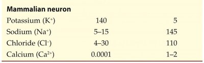 Multiple ions scenario