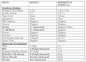 Urinalysis report table