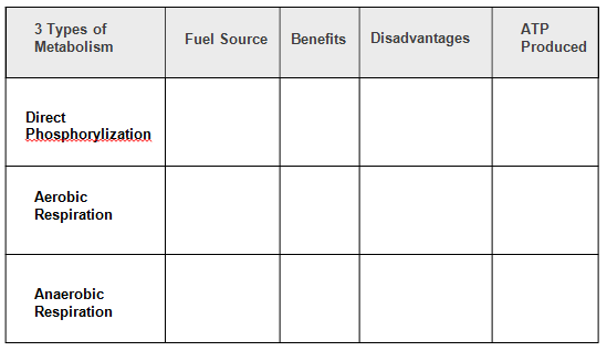 Table comparing three types of muscle metabolism: direct phosphorylation, aerobic, anaerobic