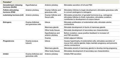 Table of major reproductive hormones in females