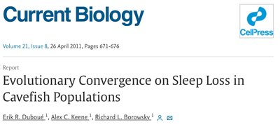 Map and images of surface and cavefish populations